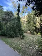 Budapest, XIV. kerület - Törökőr